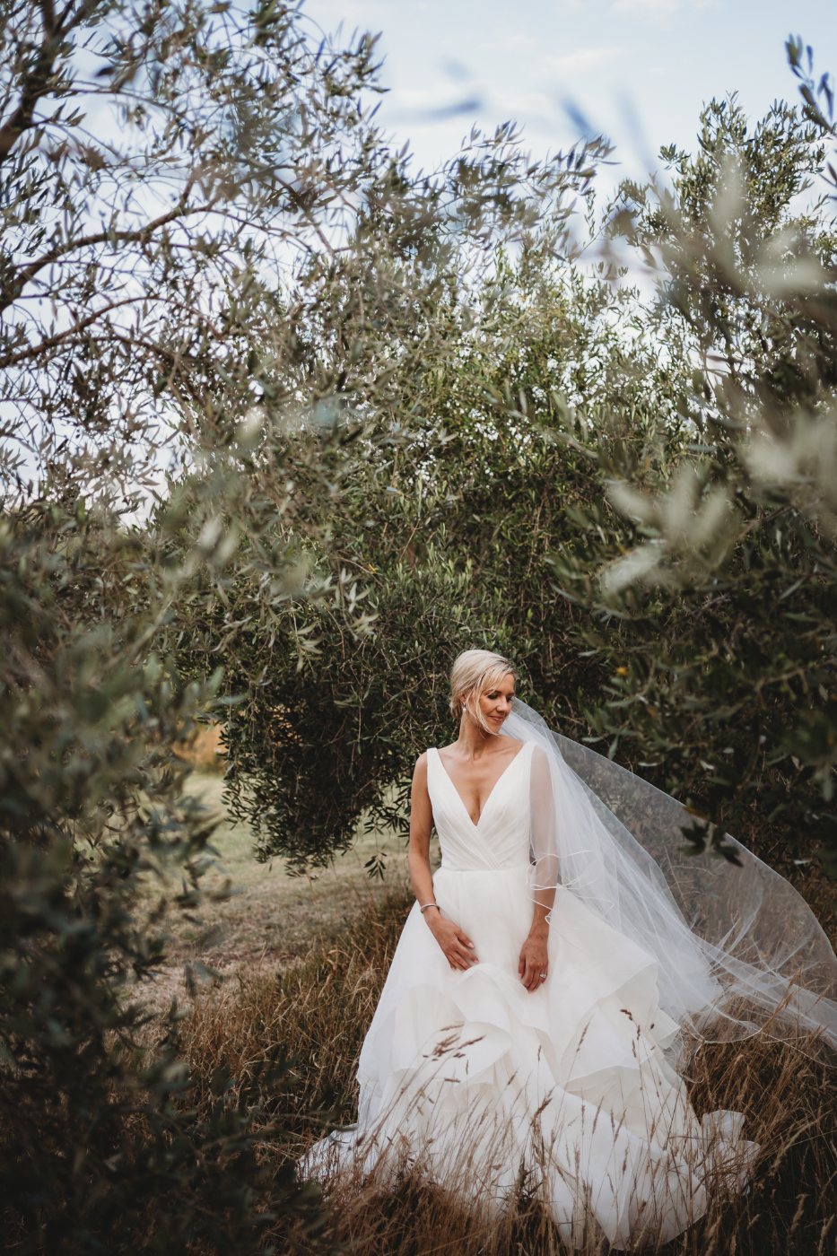 A bride in a long veil among olive trees