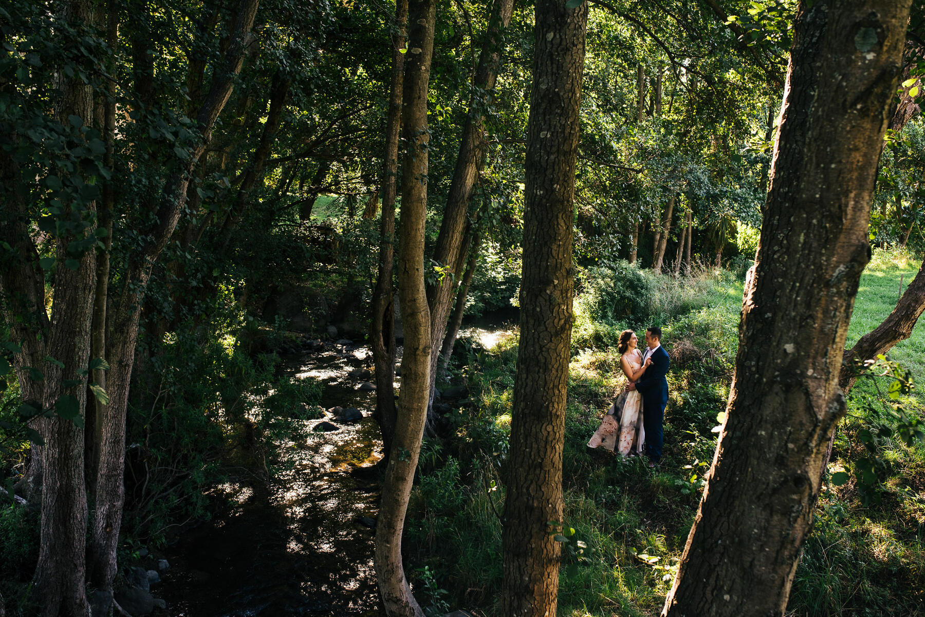 A couple embracing among tall trees beside a sunlit stream