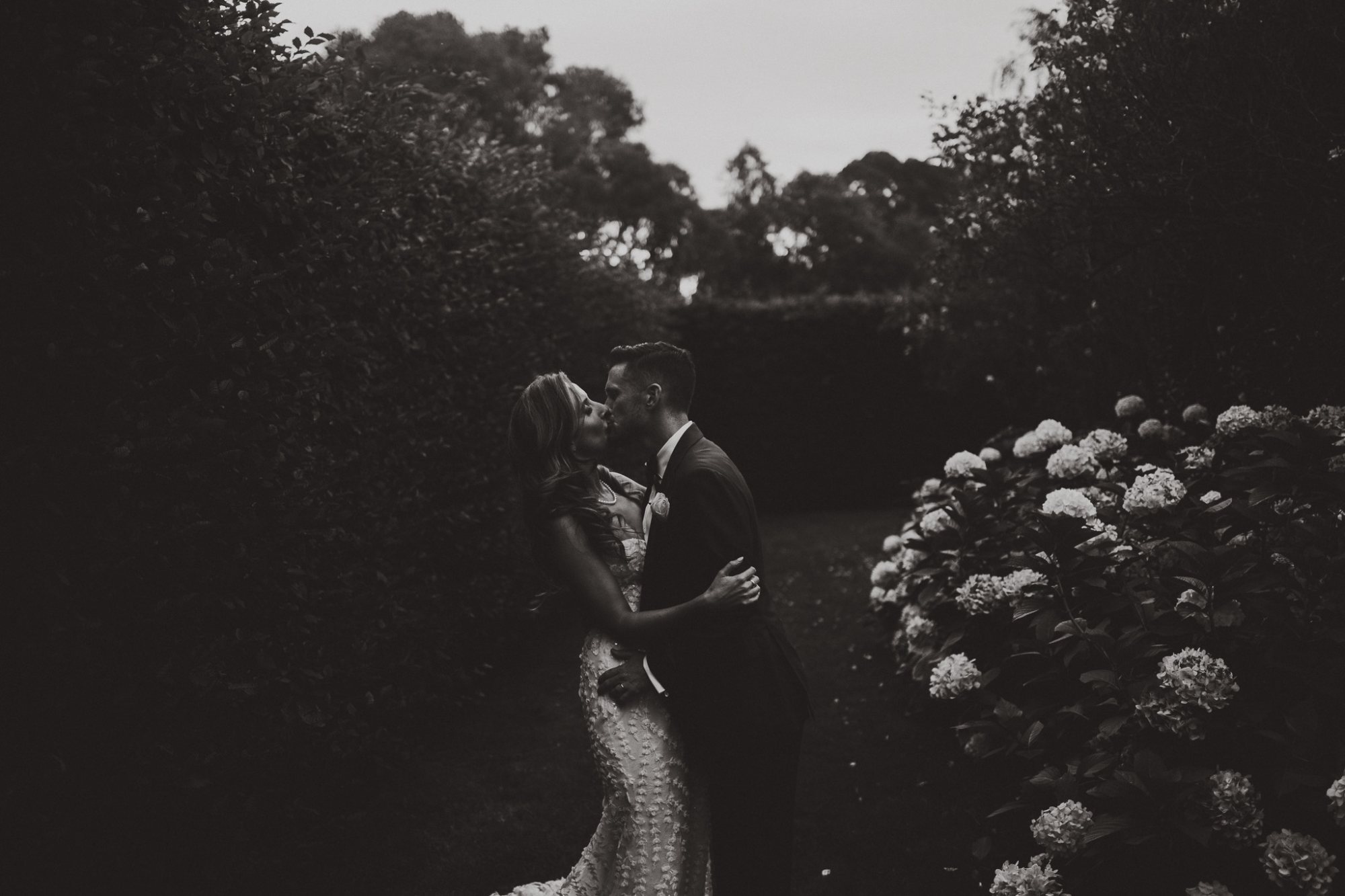 A black and white kiss among hydrangeas