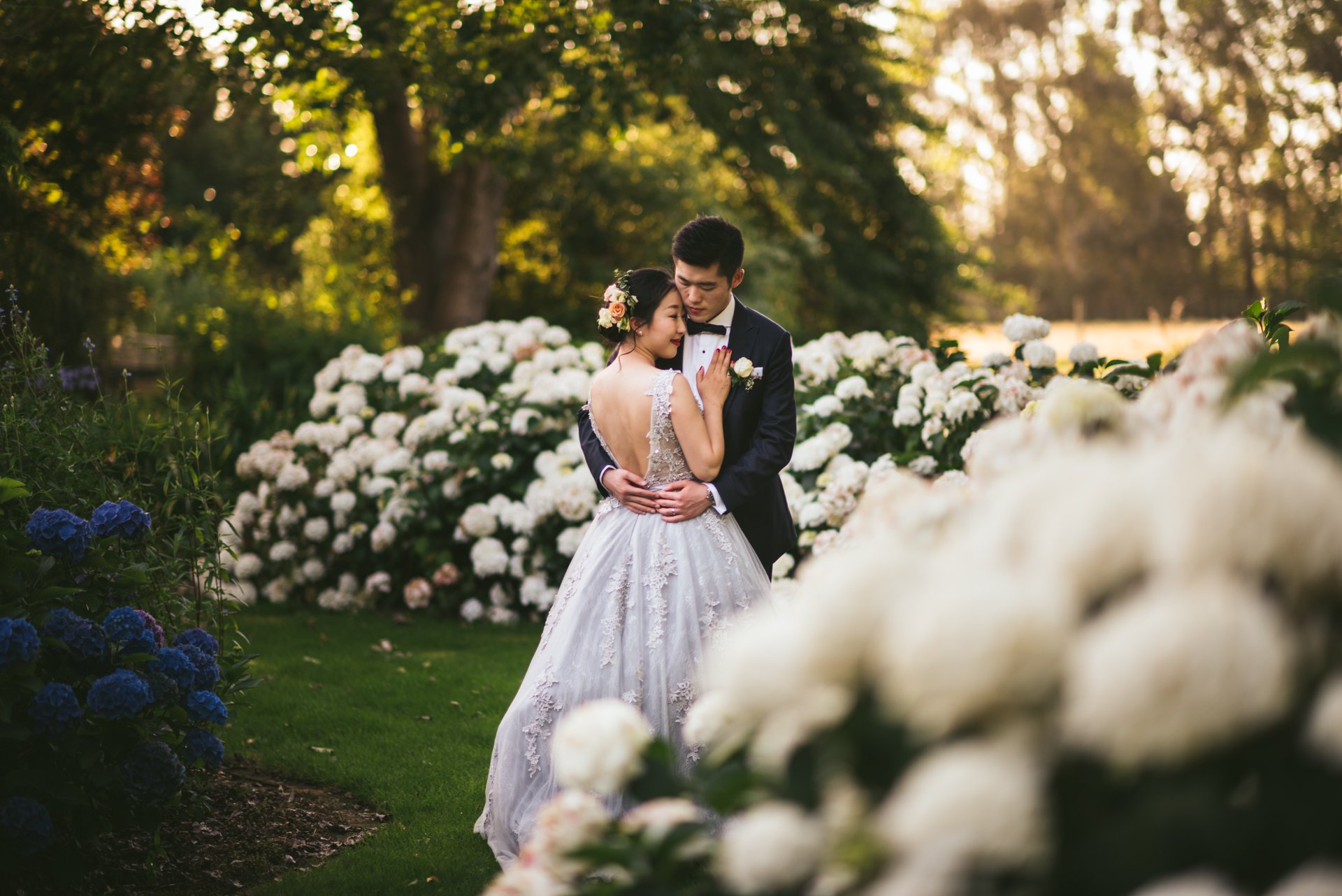 A bride and groom among hydrangeas in a sunlit garden