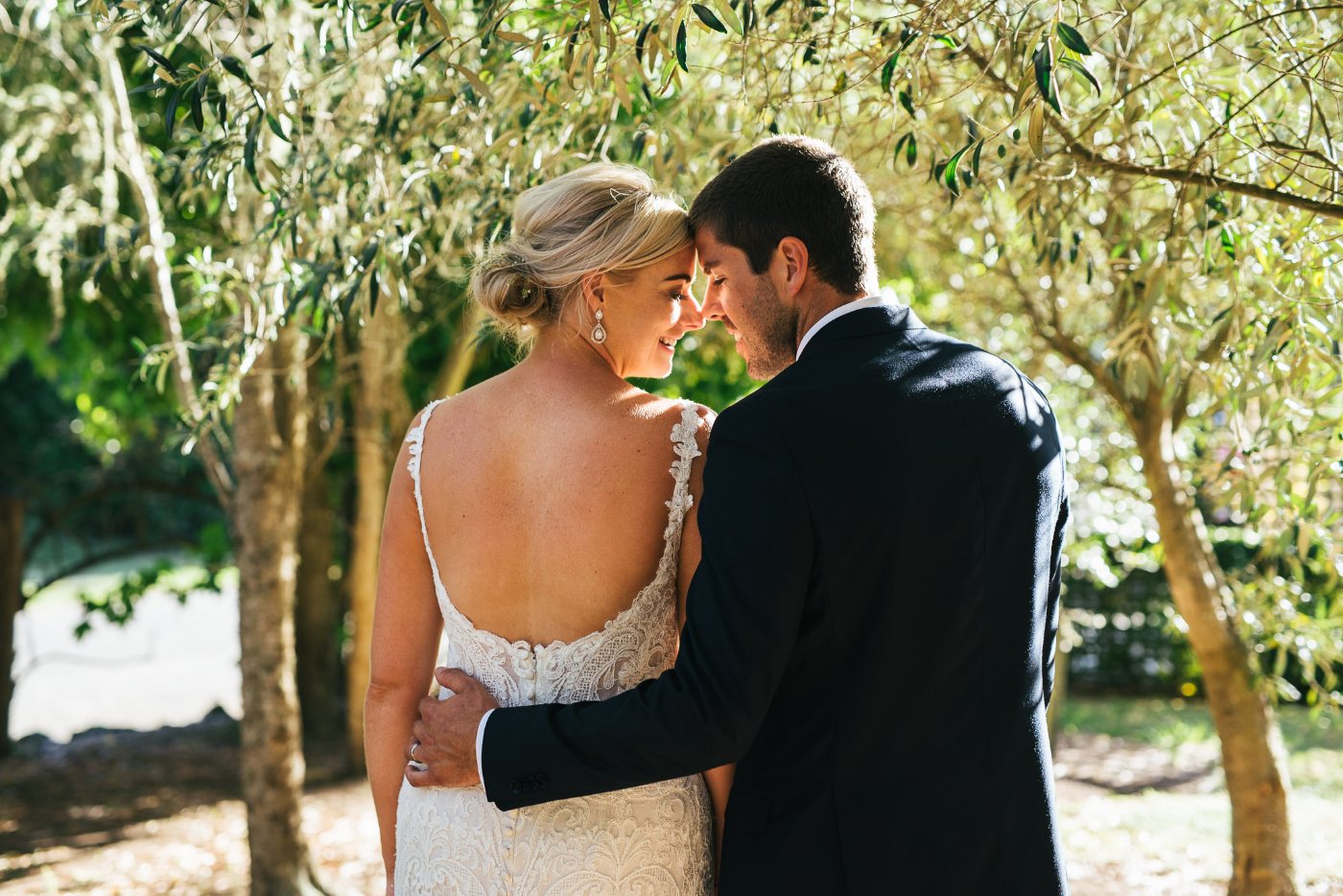 A bride and groom resting their foreheads together under olive trees