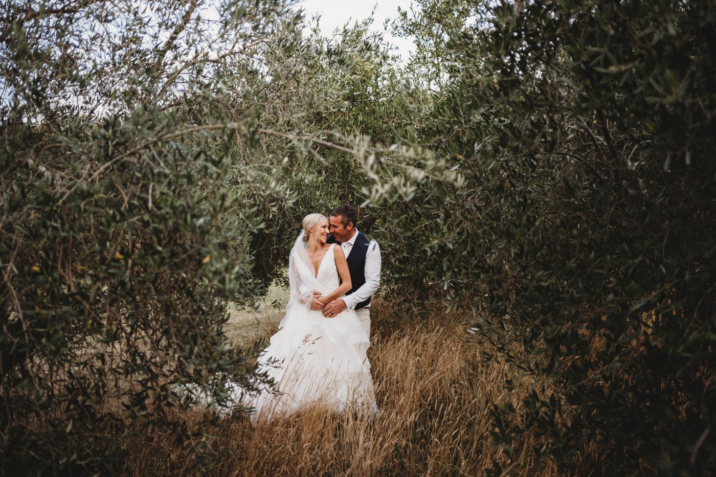 A couple embracing in an olive grove